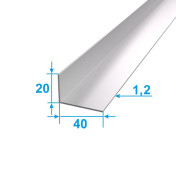 Corner Aluminum 1 run m 40х20 Anodizing Silver PAS-4917.