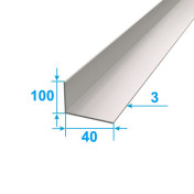 Corner Aluminum 1 run m 100х40 Without coating Silver PAS-4855.